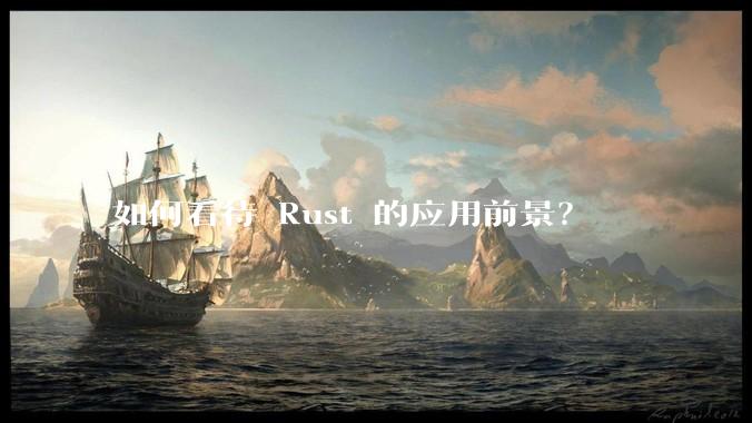如何看待 Rust 的应用前景？
